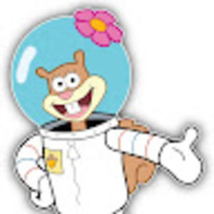 Meet your Posher, Sandy